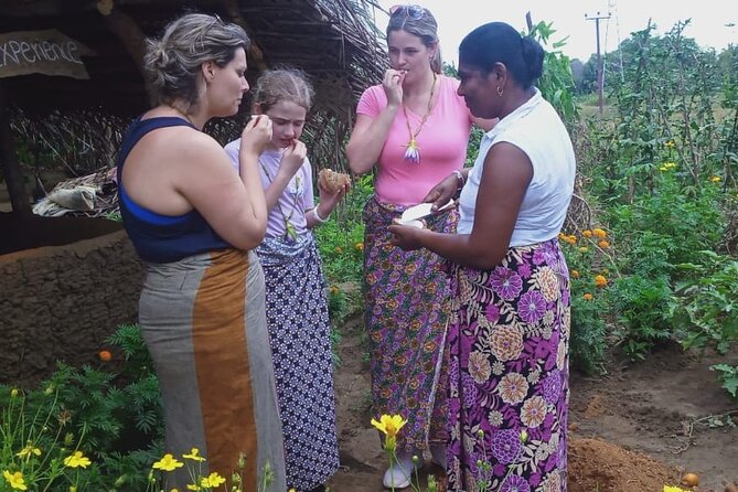 Sigiriya & Dambulla Day Tour from Kandy with free Guiding - Is $50 a good value?