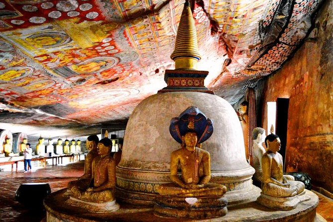 Sigiriya & Dambulla Private Day Trip with Entry Fees & Lunch - What the private vehicle changes
