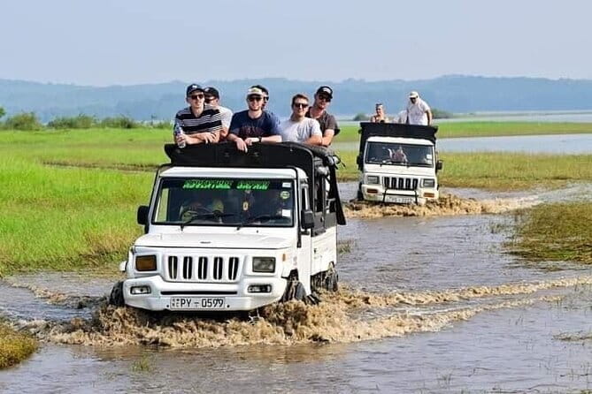 Sigiriya Hike & Minneriya Safari Private Full Day Tour - What the private format adds