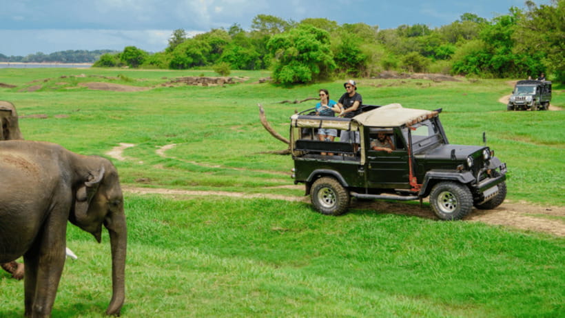 Sigiriya: Lion Rock & Minneriya Safari Full Day Private Tour - Driving onward to Minneriya National Park