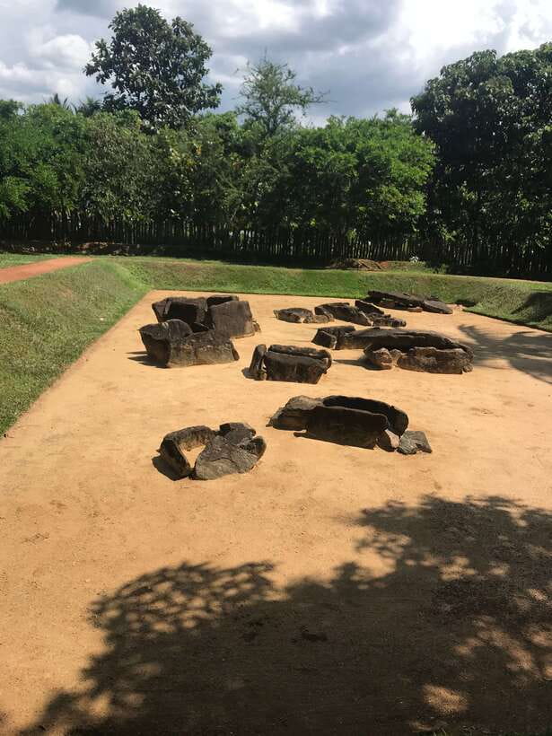 Sigiriya Lion's Rock & Dambulla Golden Cave Temple Trip - Key points to know before booking