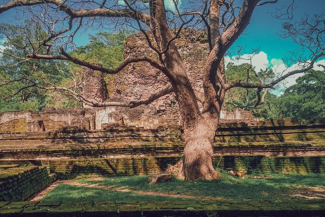 Sigiriya, Polonnaruwa & Dambulla "Trilogy" Day Tour from Colombo - Dambulla’s cave temples, beautiful but late in the day