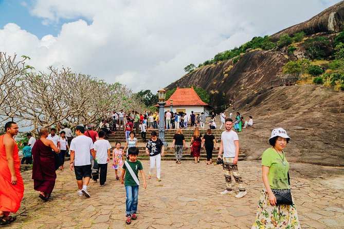 Sigiriya Rock and Dambulla Cave All Inclusive Private Day Trip - What private transport adds to the day