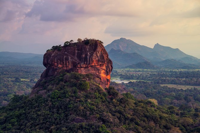 Sigiriya Rock and Wild Elephant Safari from Dambulla - Key points before you book