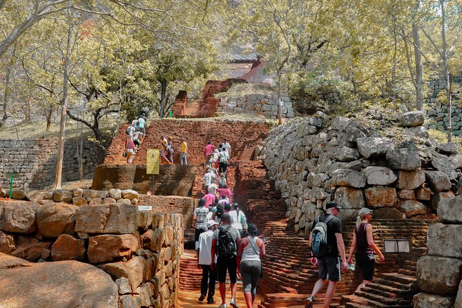 Sigiriya Rock and Wild Elephant Safari from Dambulla - Minneriya National Park and the three-hour jeep drive