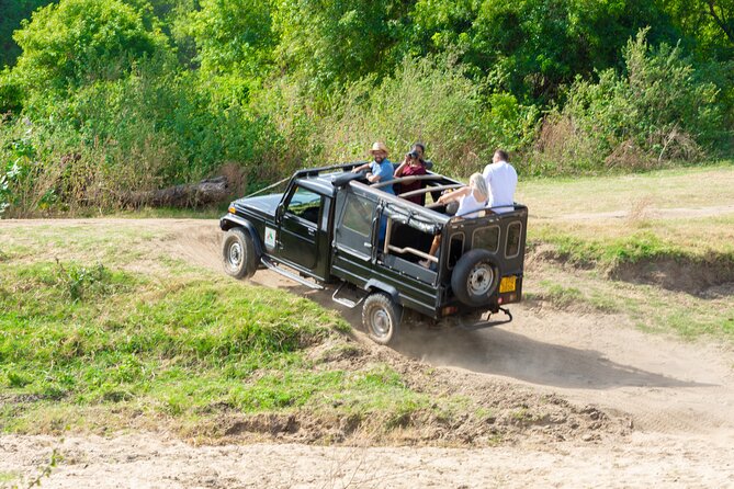 Sigiriya Rock and Wild Elephant Safari from Dambulla - Should you book it?