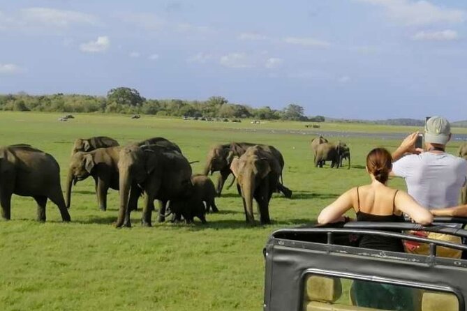 Sigiriya Rock & Cave Temple with Jeep Safari Private Day Trip - What the guides add to the day