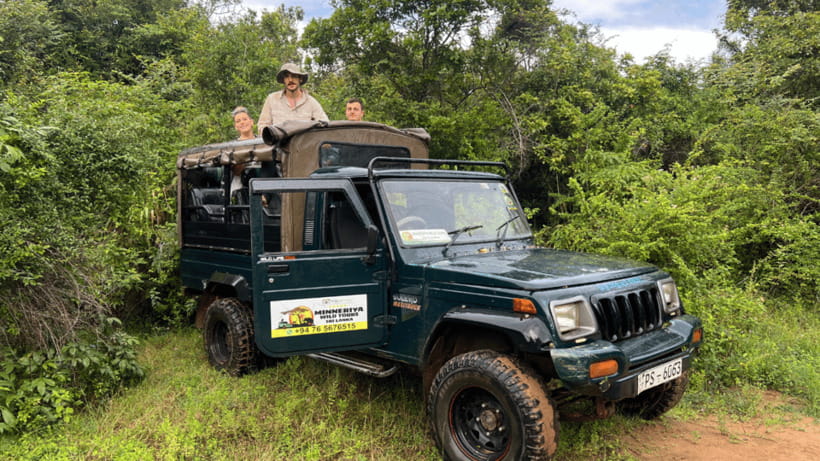 Sigiriya Rock Hike & Minneriya Elephant Safari – Day Tour - Practical advice for a better day