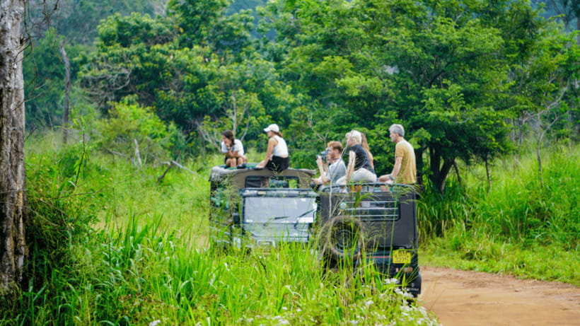 Sigiriya Rock Hike & Minneriya Elephant Safari – Day Tour - What the $57 price really covers