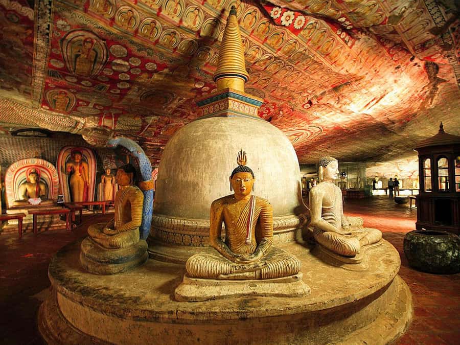 Sigiriya: Sigiriya or Pidurangala Sunrise/Sunset Hike - What this Sigiriya outing actually feels like