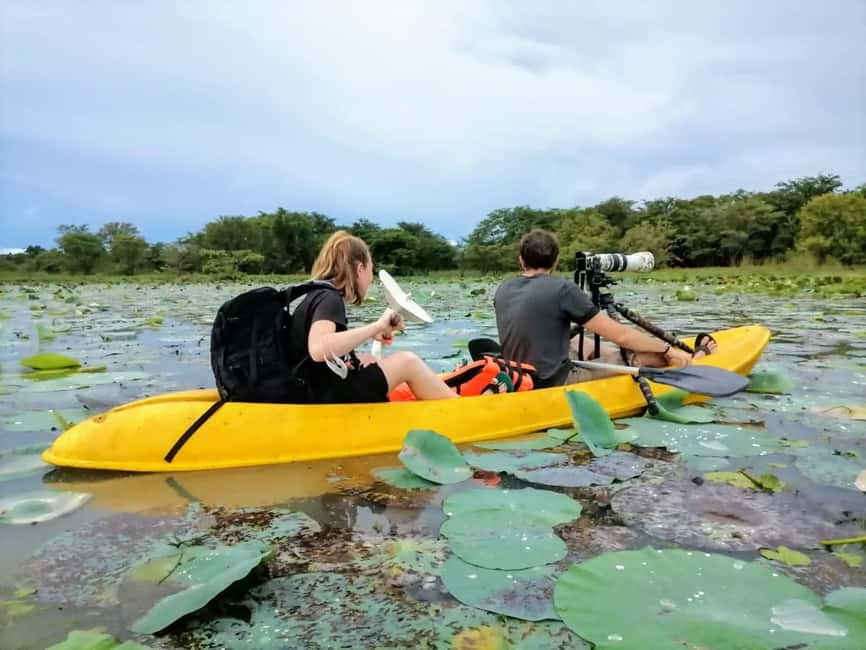 Sigiriya: Sunrise or Sunset Kayaking Tour - Group size, guiding, and the local feel