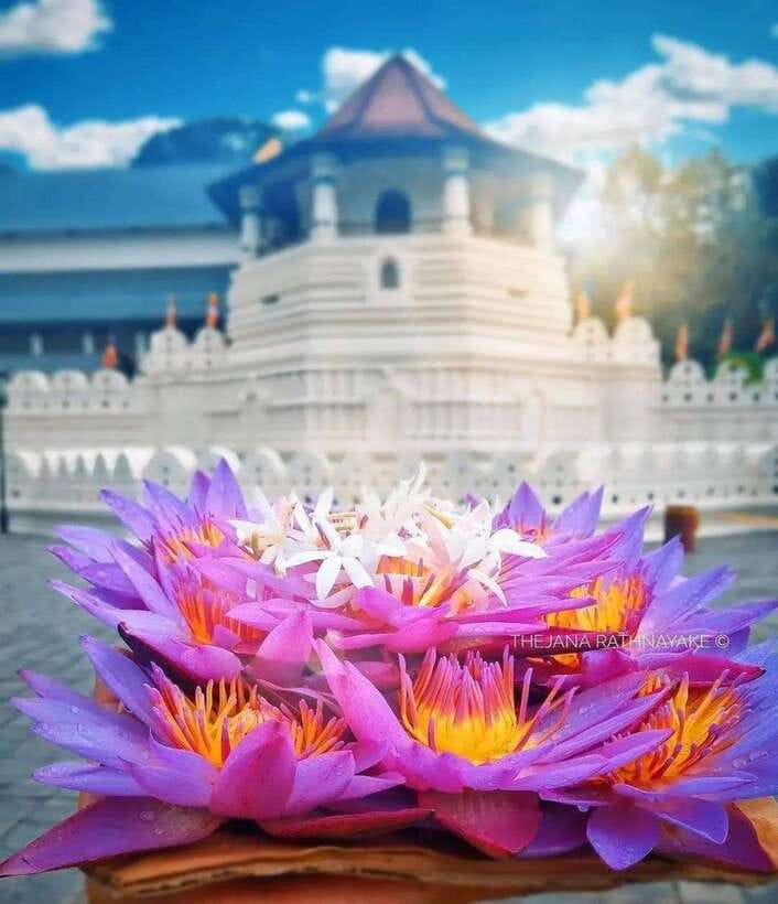 Sigiriya To Kandy Private Transfer: Visit Dambulla Temple - Why this transfer makes sense between Sigiriya and Kandy