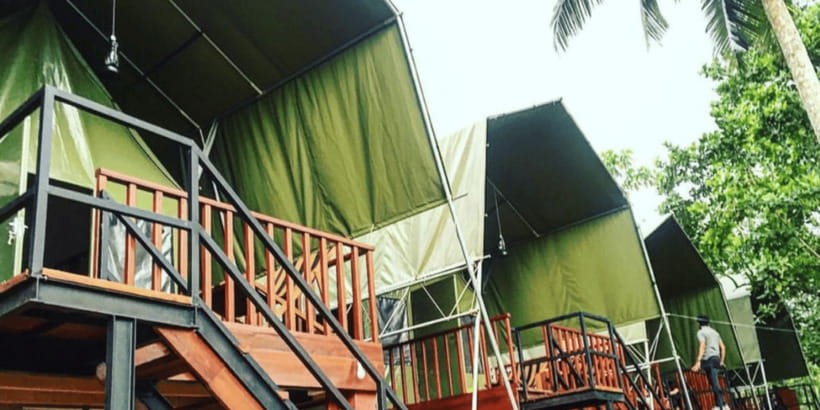 Sinharaja Forest Reserve Glamping with BBQ Night - A guided forest walk with monkeys, birds, snakes, and scorpions