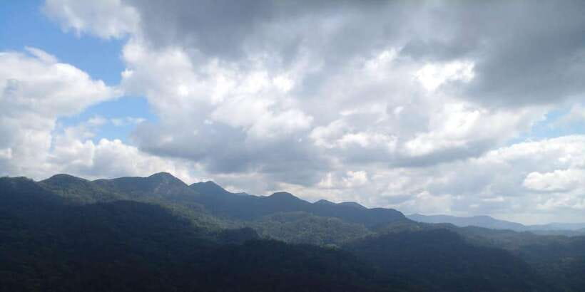 Sinharaja Forest Reserve Glamping with BBQ Night - Who will enjoy this rainforest stay most?