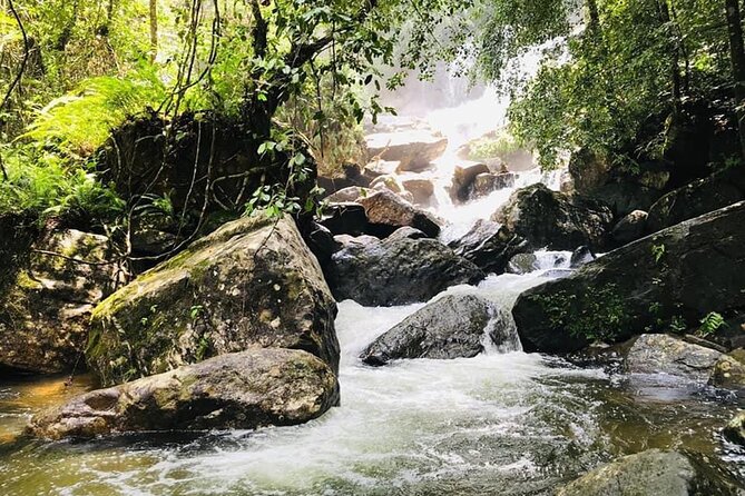 Sinharaja Rain Forest Guided Day Tour - A Homemade Sri Lankan Lunch in the Forest Day