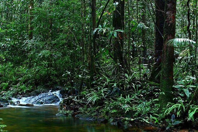 Sinharaja Rain Forest Guided Day Tour - Along the Gin Ganga River