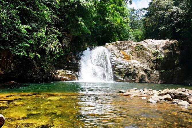 Sinharaja Rain Forest Tour from Tangalle - Key points to know before booking