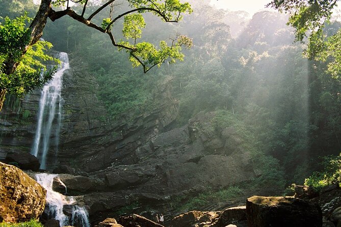 Sinharaja Rain Forest Tour from Tangalle - Why Sinharaja is worth the long drive