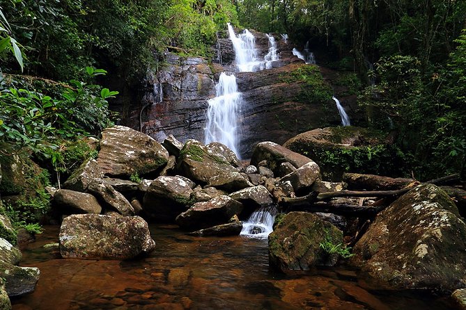 Sinharaja Rain Forest Tour from Tangalle - Lunch in the rainforest