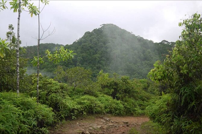 Sinharaja Rain Forest Tour from Tangalle - Returning to Tangalle after a full day