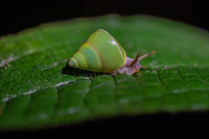 Sinharaja Rainforest Day Tour By Rainforest Expedition - Reaching the Mederipitiya meeting point