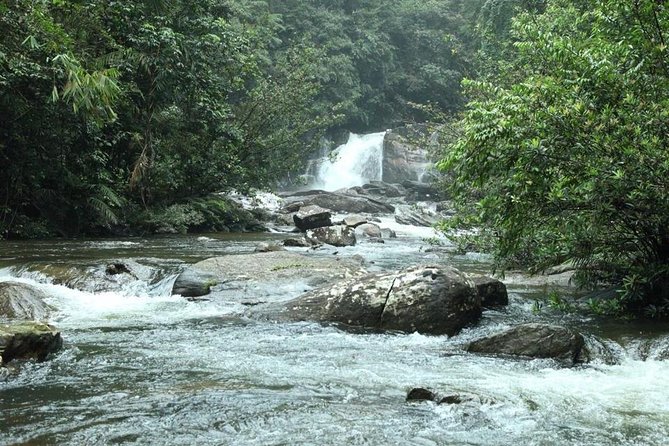 Sinharaja' rainforest - Discovery Tour (half day) - Key points to know before you book