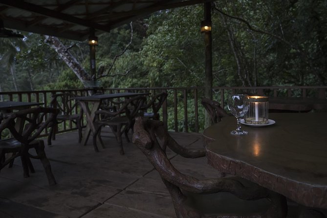 Sinharaja' rainforest - Discovery Tour (half day) - Entering Sinharaja at 7:30 in the morning