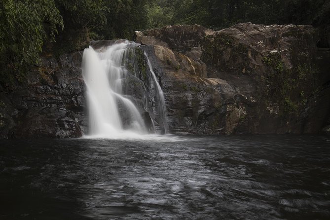 Sinharaja' rainforest - Discovery Tour (half day) - Three to four hours beneath Sinharaja’s canopy