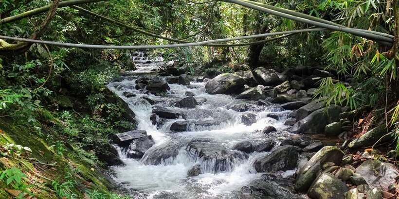 Sinharaja Rainforest Private & Customize Tour - Kakuna Waterfall and the swimming stop