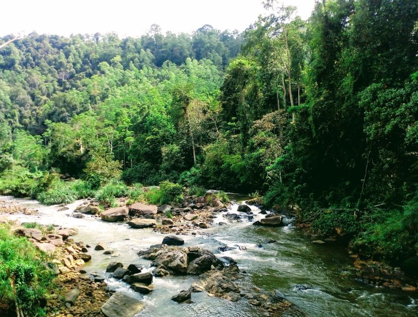 Sinharaja Rainforest Private & Customize Tour - Transport, comfort, and the private format