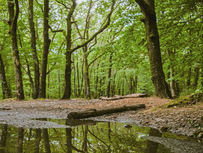 Sinharaja Rainforest Private & Customize Tour - Who will enjoy this tour most?