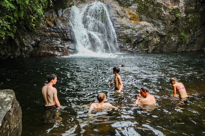 Sinharaja Rainforest Private Half Day Tour with Licensed Guide - Five things to know before you go