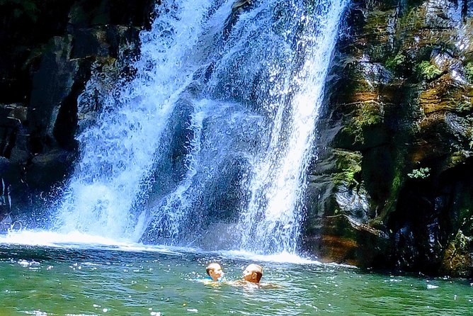Sinharaja Rainforest Tour - Why Sinharaja works as a full-day outing