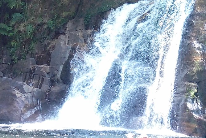 Sinharaja Rainforest Tour - Wildlife is about observation, not a checklist