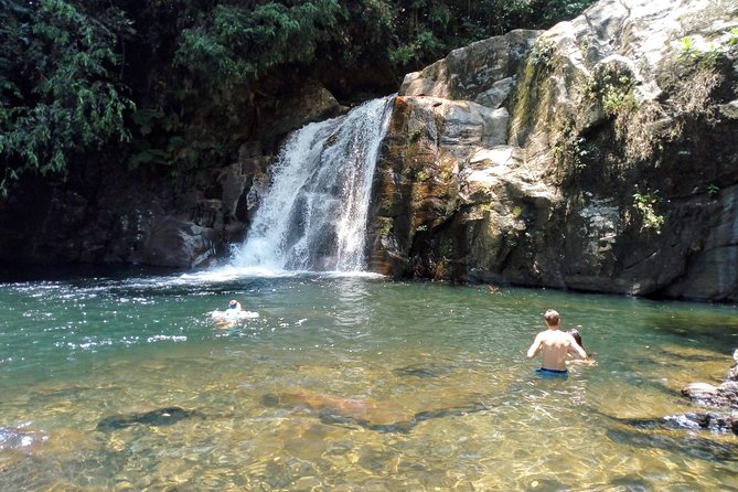 Sinharaja Rainforest Tour - What $110 means for value