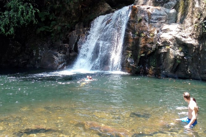 Sinharaja Rainforest Tour - Who will enjoy this tour most