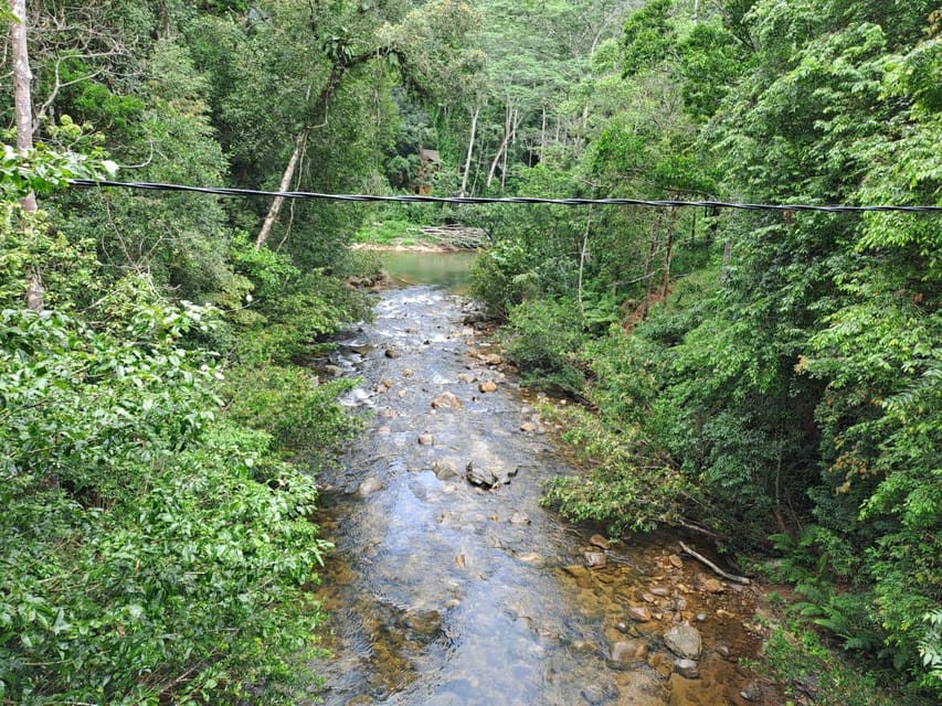 Sinharaja Rainforest Tour - The guides and drivers make the difference