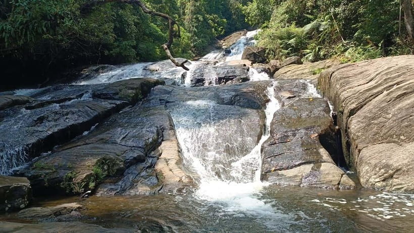 Sinharaja Rainforest: Tour with 5 Waterfalls Trek - Five useful facts before you book
