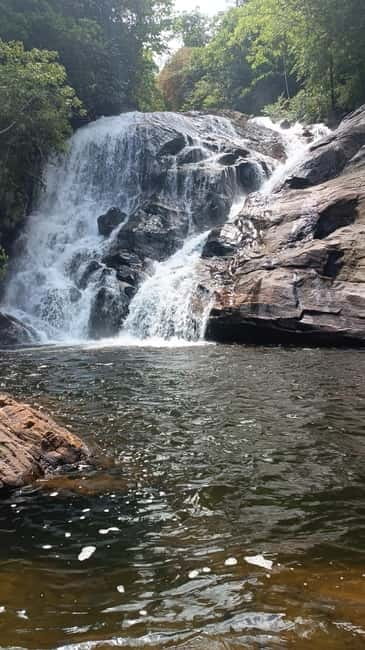 Sinharaja Rainforest: Tour with 5 Waterfalls Trek - Why this Sinharaja day trip is worth your time