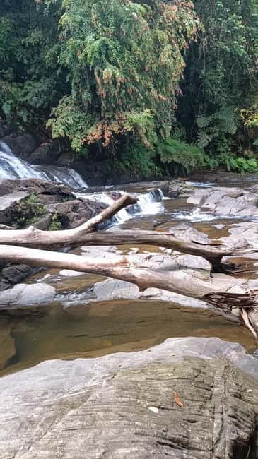 Sinharaja Rainforest: Tour with 5 Waterfalls Trek - Duli Ella makes a strong first stop