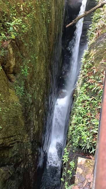Sinharaja Rainforest: Tour with 5 Waterfalls Trek - Three hours among five waterfalls