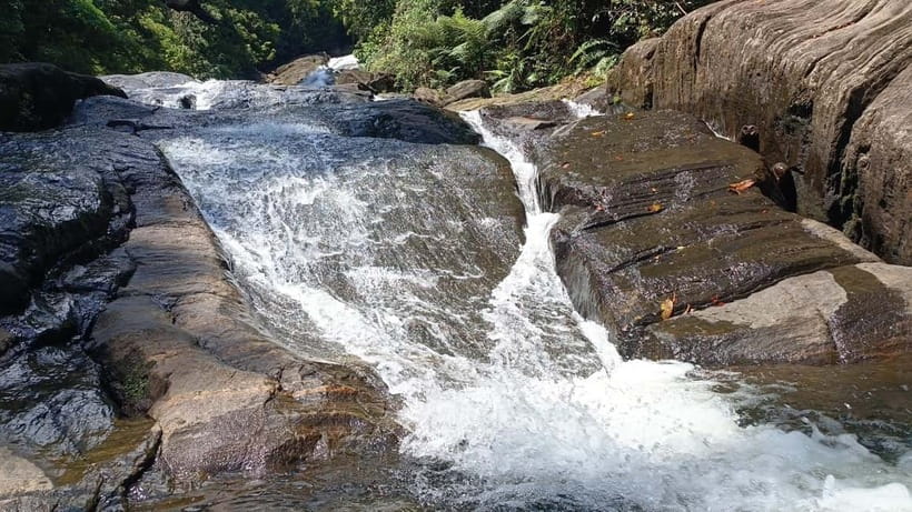 Sinharaja Rainforest: Tour with 5 Waterfalls Trek - Swimming in the cool waterfall pools