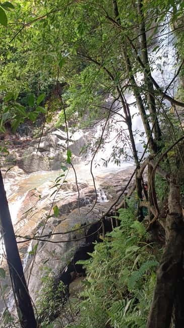 Sinharaja Rainforest: Tour with 5 Waterfalls Trek - Is $95 a fair price?