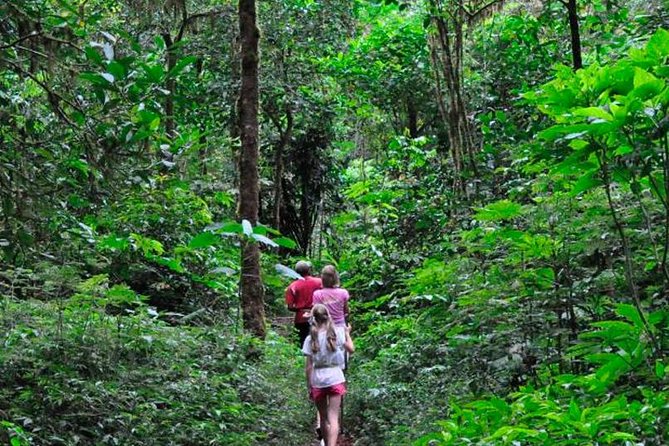 Sinharaja Rainforest Trekking Private Day Trip with Local Lunch - Key points to know before booking