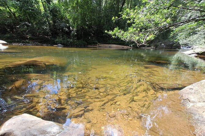 Sinharaja Rainforest Trip - The early pickup from Hikkaduwa and nearby towns
