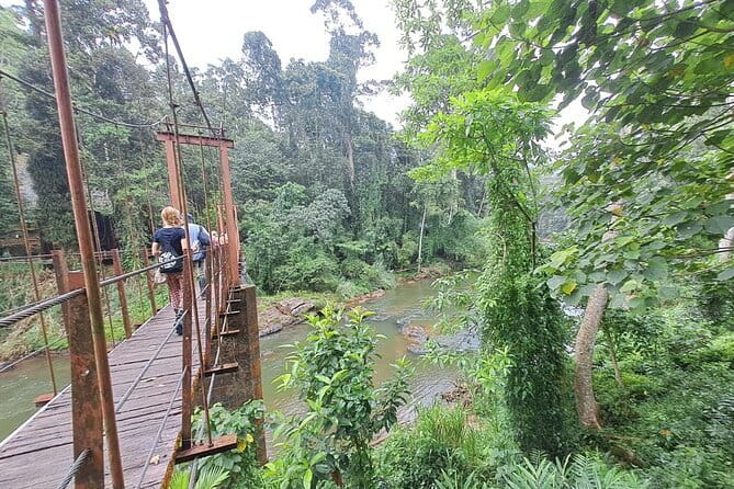 Sinharaja Rainforest Trip - Meeting the forest tracker at Sinharaja