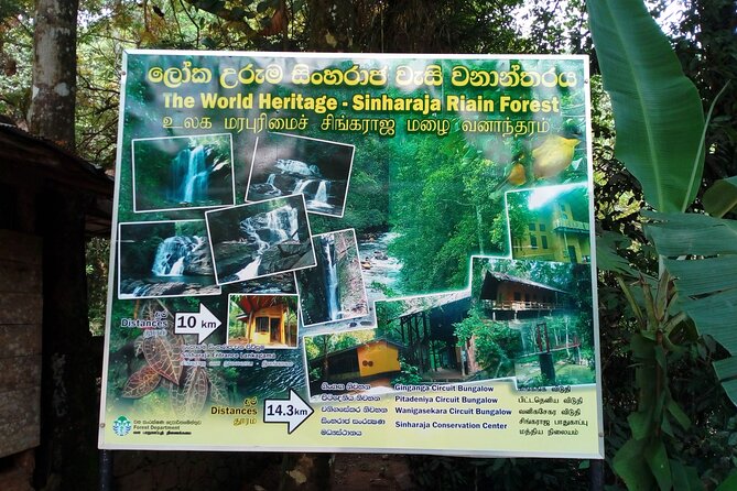 Sinharaja Rainforest & Udawalawe Safari - 2 Days, All Inclusive - Udawalawe National Park and the three-hour safari