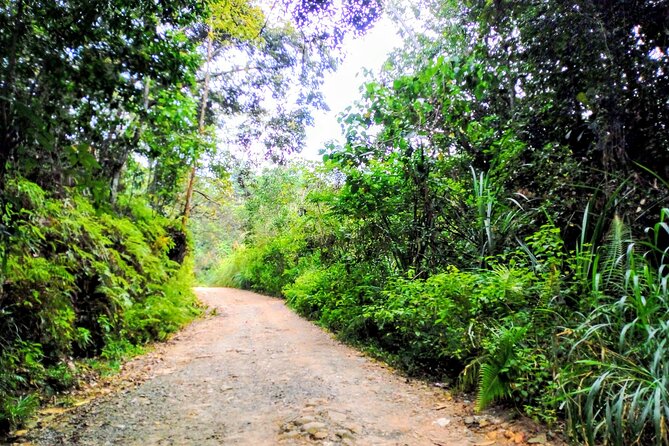 Sinharaja Rainforest & Udawalawe Safari - 2 Days, All Inclusive - What the private format changes