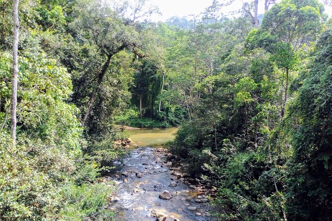 Sinharaja Rainforest & Udawalawe Safari - 2 Days, All Inclusive - The main drawbacks to consider