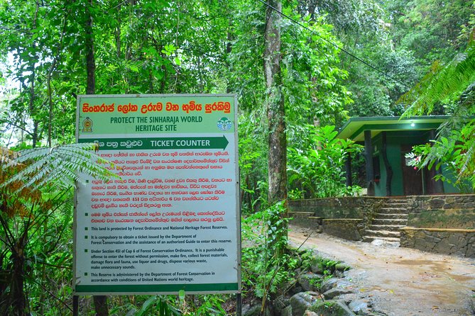 Sinharaja Short tour with 5 waterfalls tour or Adventure tour - Leeches, rain, and the practical side of Sinharaja